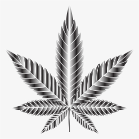 Marijuana Leaf Type Ii Duochrome - Cannabis, HD Png Download, Free Download