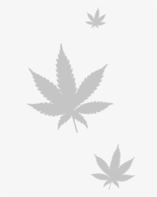 Marijuana Leaf Png - Marijuana Leaf, Transparent Png, Free Download