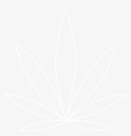 Johns Hopkins White Logo, HD Png Download, Free Download