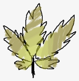 Silver Maple, HD Png Download, Free Download