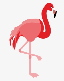 Flamingo Clipart Png, Transparent Png, Free Download