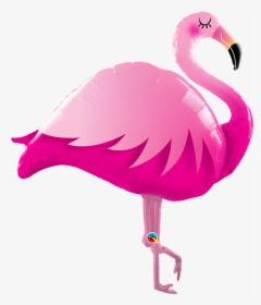 Clip Art Pink Flamingo Photos - Flamingo Balloon, HD Png Download, Free Download