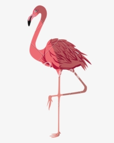 Pink Flamingo Vector - Png Transparent Flamingo Png Vector, Png Download, Free Download