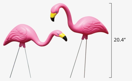 Flamingos In Pink - Garden Flamingo, HD Png Download, Free Download