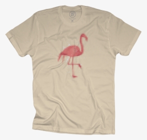 Flamingo, HD Png Download, Free Download