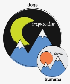 Dogs Are Crepuscular And Humans Are Diurnal (active - Circle, HD Png Download, Free Download