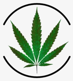 Marijuana Plant Leaves, HD Png Download, Free Download