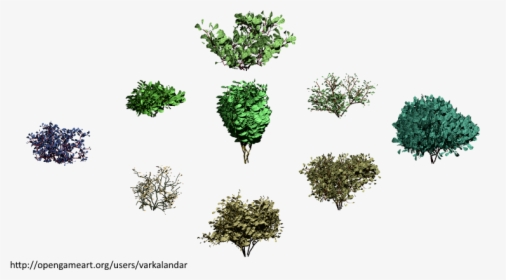 Hjm Bushes 08 Alpha - Broccoli, HD Png Download, Free Download