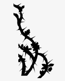 Thorn Bush Png Transparent Images - Roses With Thorns Png, Png Download, Free Download