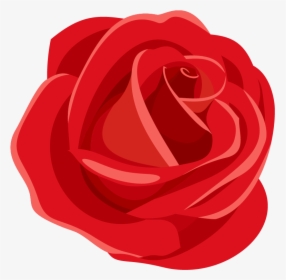 Red Rose - Floribunda, HD Png Download, Free Download