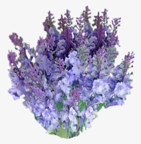 Lavender Flower Transparent Background, HD Png Download, Free Download