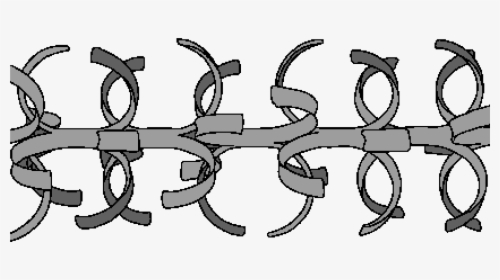 Barbed Wire , Png Download - Graphics, Transparent Png, Free Download