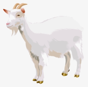 Goat Png - Transparent Background Goat Clipart, Png Download, Free Download