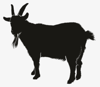 Goat Png Transparent Images - Goat Silhouette Png, Png Download, Free Download