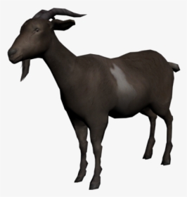 Download Goat Png Transparent Images Transparent Backgrounds - Gta Sa Goat Skin, Png Download, Free Download