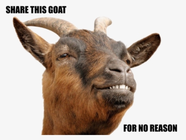 Goat Png Download Image - Goat Head Png, Transparent Png, Free Download