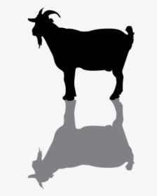 Goat Silhouette Png, Transparent Png, Free Download