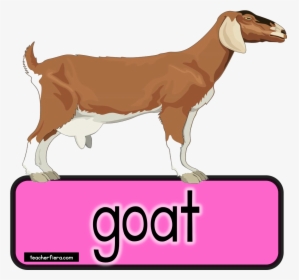 Goat Clipart Bakri - Bakri Png, Transparent Png, Free Download