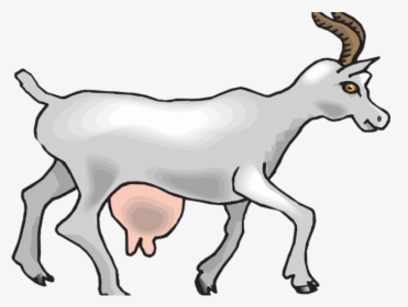 Goat Clipart Kambing Animals That Give Us Milk Transparent - Clipart Baby And Goat, HD Png Download, Free Download