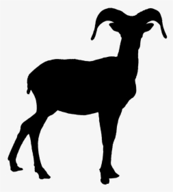Goat Clipart Big Goat - Bighorn Sheep Black And White, HD Png Download, Free Download