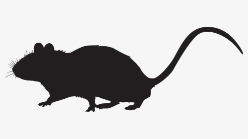 Rat Mouse Whiskers Rodent Clip Art - Mouse Silhouette Transparent, HD Png Download, Free Download