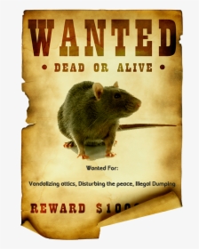 Rats Wanted Poster - Rat Wanted Poster, HD Png Download, Free Download