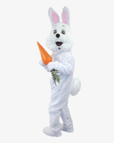 Real Easter Bunny Png - Easter Bunny Costume Png, Transparent Png, Free Download