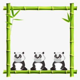 Transparent Bamboo Plant Png - Bamboo Border Design Png, Png Download, Free Download