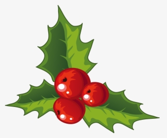 Holly Christmas Decoration - Transparent Background Holly Png, Png Download, Free Download