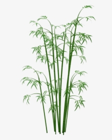 Bamboo Png - Bamboo Tree Transparent Background, Png Download, Free Download