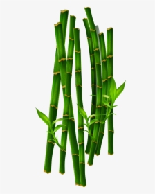 Green Bamboo Png - Grass, Transparent Png, Free Download