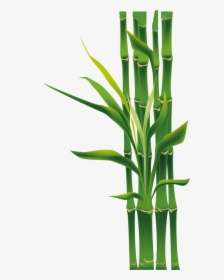 Free Download Bamboo Png Clipart Tropical Woody Bamboos - Bamboo Png, Transparent Png, Free Download