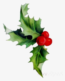 Holly Leaf Plant Flower Transparent Image Clipart Free, HD Png Download, Free Download
