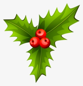 Holly Christmas Tree Plant, HD Png Download, Free Download