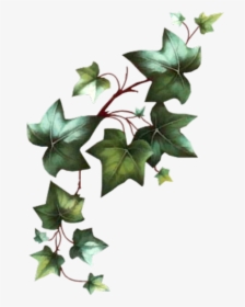 Clip Art Luv Nothing But Love - Poison Ivy Vine Drawing, HD Png Download, Free Download