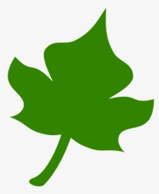 Ivy - Yaprak Icon Png, Transparent Png, Free Download