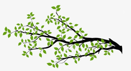 Branch Tree Drawing Royalty-free - Tree Branch Vector Png, Transparent Png, Free Download