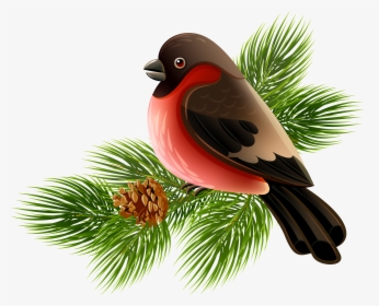 Bird Clip Art - Portable Network Graphics, HD Png Download, Free Download