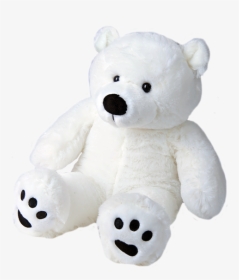 Polar Bear Teddy Png, Transparent Png, Free Download