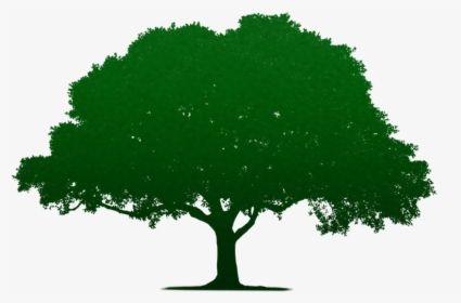 Tree Silhouette Vector Png, Transparent Png, Free Download
