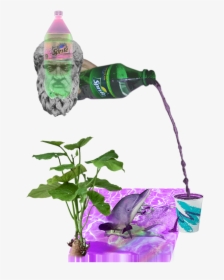 #trippy #lean #dolphin #trill #codeinegawd - Apologia De Socrates, HD Png Download, Free Download