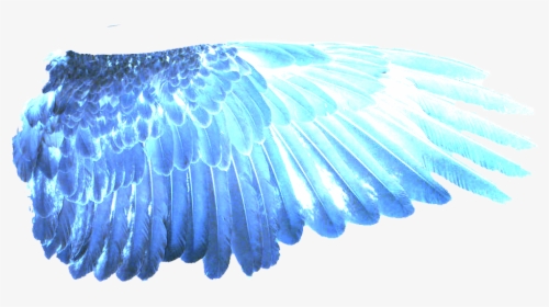 Transparent Eagle Wings Png - Blue Fire Wing Png, Png Download, Free Download