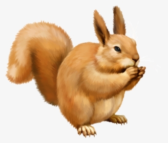 Grab And Download Squirrel Transparent Png File - Squirrel Clipart Transparent Background, Png Download, Free Download