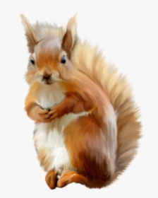 Animales Infantiles Png - Red Squirrel Nuts Transparent Background, Png Download, Free Download
