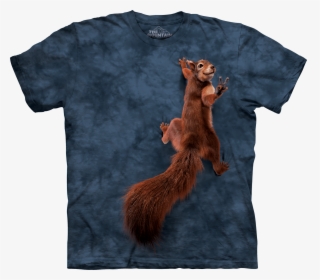 Squirrel Png, Transparent Png, Free Download