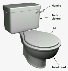 Choosing The Right Toilet For You - Outside Parts Of A Toilet, HD Png Download, Free Download