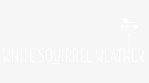 White Squirrel Weather - Johns Hopkins White Logo, HD Png Download, Free Download