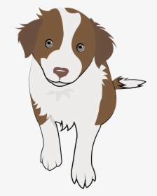8 Chocolate Collie Puppy - Dog Catches Something, HD Png Download, Free Download