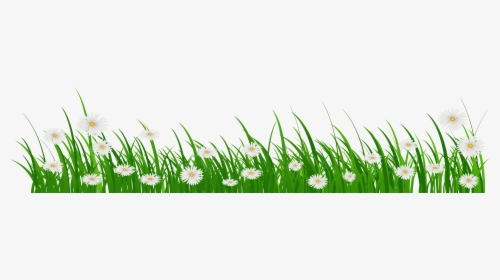 Grass With Flower Png, Transparent Png, Free Download
