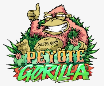 Peyote Gorilla Feminised Seeds"  Title="peyote Gorilla - Cartoon, HD Png Download, Free Download